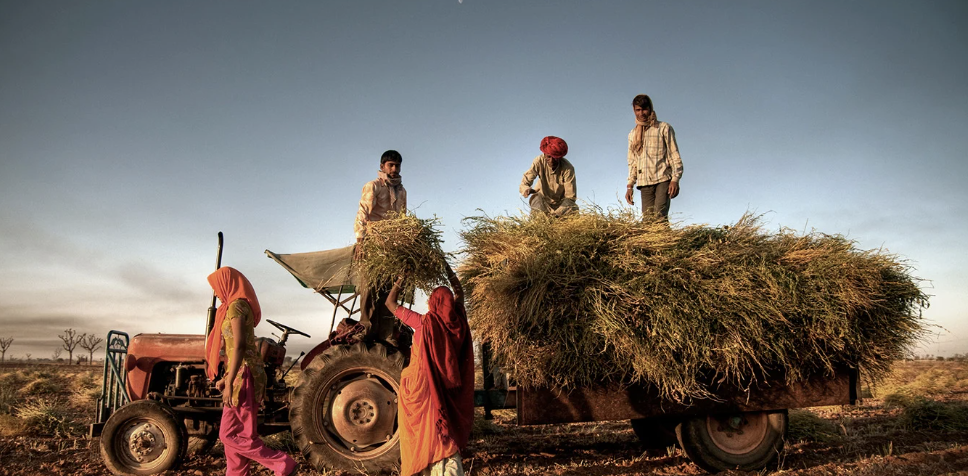 How Smart Logistics is Driving Growth in India's Rural Economy